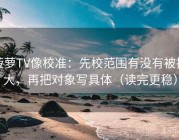 菠萝TV像校准：先校范围有没有被拉大，再把对象写具体（读完更稳）