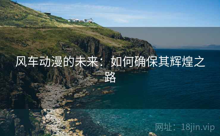 风车动漫的未来：如何确保其辉煌之路